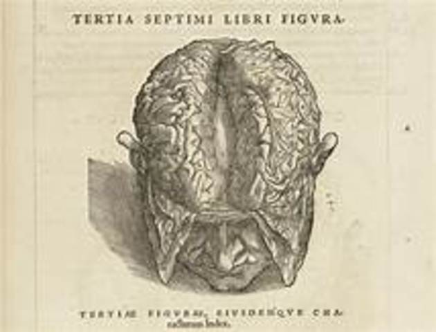 De Humani Corporis Fabrica