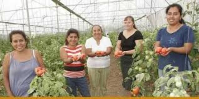 Promusag (El Programa de la Mujer en el Sector Agrario)