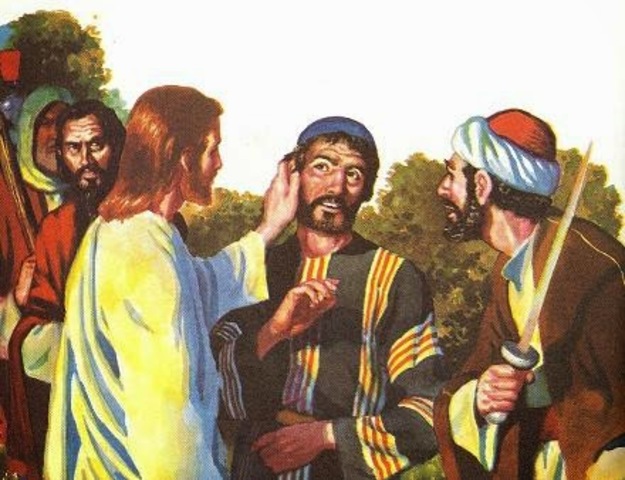 Restauración de la oreja de Malco