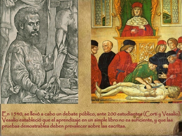 Andres Vesalio: (Explicator chirurgiage)