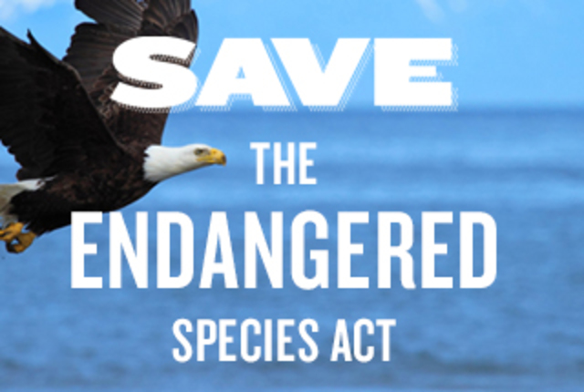 Endangered Species Act