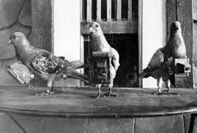 Colores mezclando luces