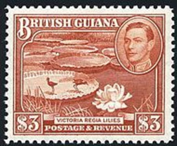 Britain occupies Guyana