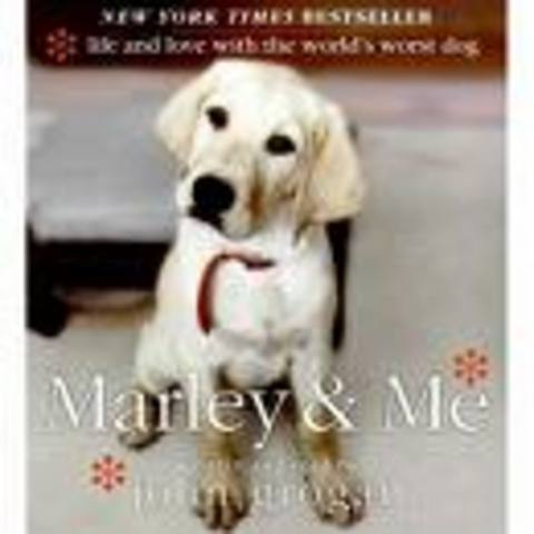 Oversaetter hundebog