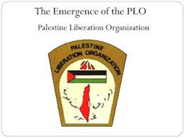 Formation of PLO