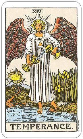 The Temperance Movement