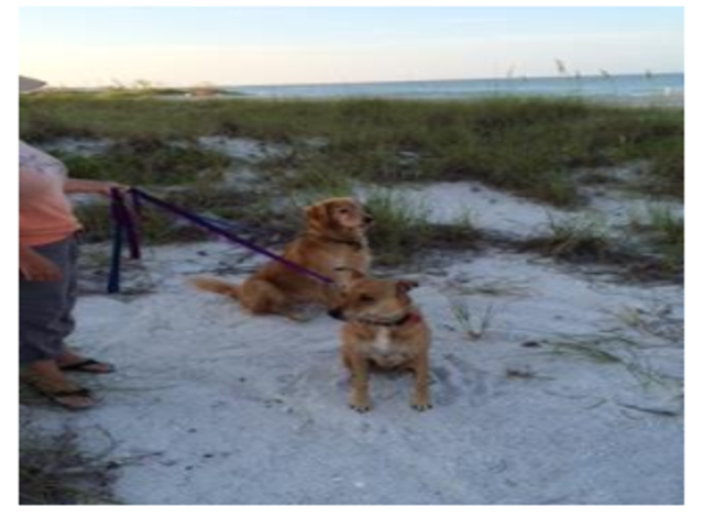 First Trip to the Beach