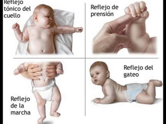 La Reflexología Rusa