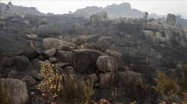 200000 HA 8000 INCENDIOS