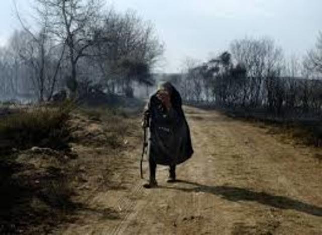 120000 HA 12000 INCENDIOS