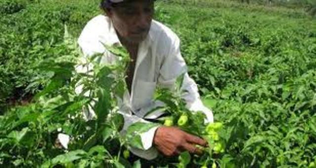 Programa de Productividad y Competitividad Agro alimentaria.