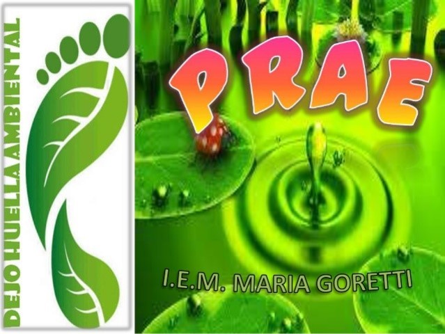 Nace el decreto 1743 de 1994