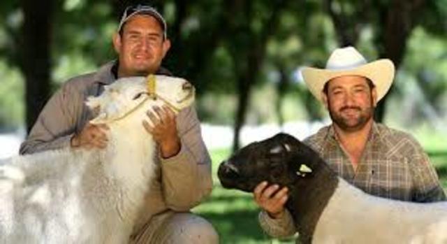 PROGRAMA: Desarrollo Productivo del Sur Sureste y Zonas Económicas Especiales