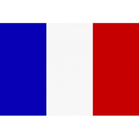 LA GUERRA DE VIETNAM