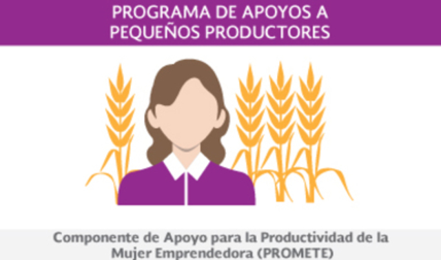 PROGRAMA para la Productividad de la Mujer Emprendedora (PROMETE).