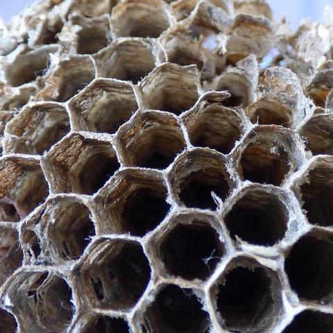 Recopilación del concepto (RED)