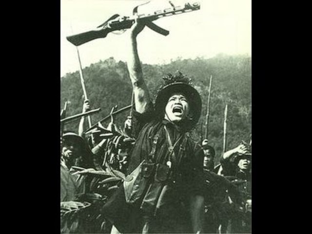 Guerra de vietnam