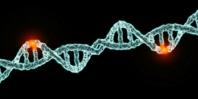 Τεχνική ανασυνδυασμένου DNA