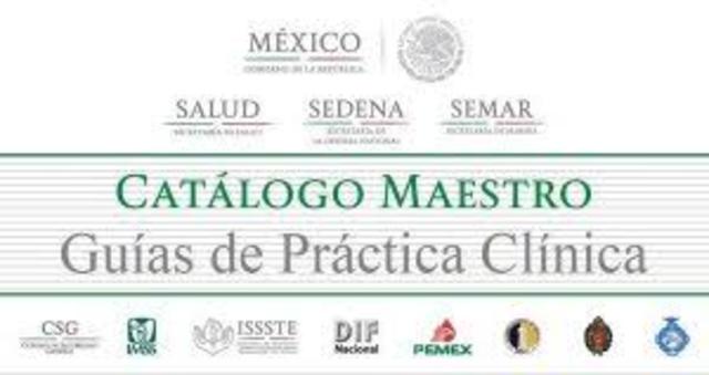 Las Guías de Práctica Clínica de Enfermería (GPCE)