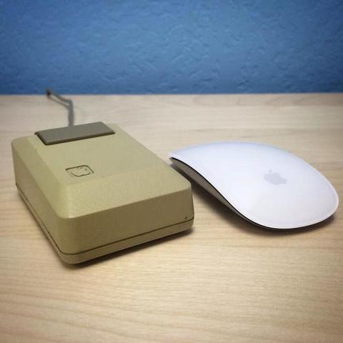 MOUSE