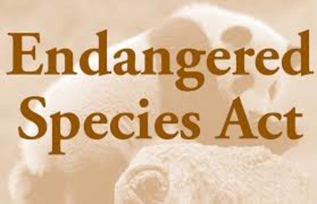 The Endangered Species Act