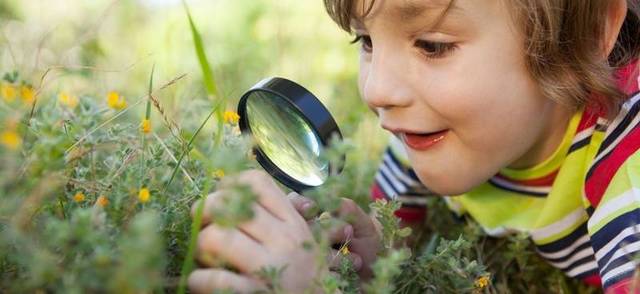 David Ausubel: Aprendizaje significativo