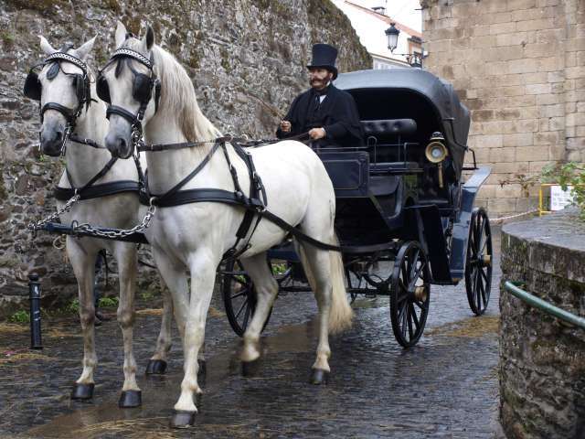 Plan de movilización de pasajeros