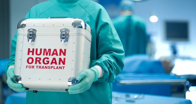 Trasplantes de órganos