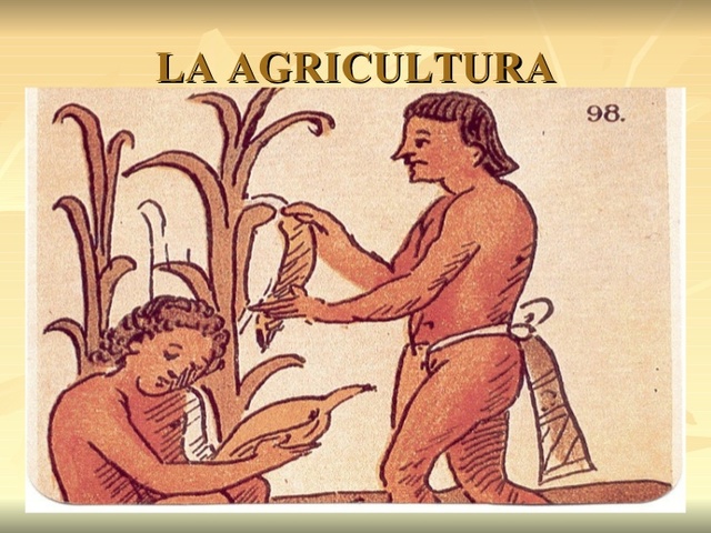 Origen de la agricultura