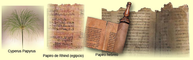 310, el pergamino reemplaza al papiro en Europa.