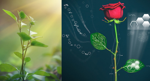 Teoría sobre el papel del aire