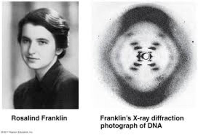 Rosalind Franklin works with DNA and X-Ray crystallography and develops “Image 51”