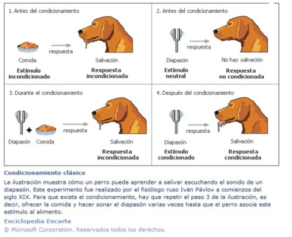 Reflejo Condicionado