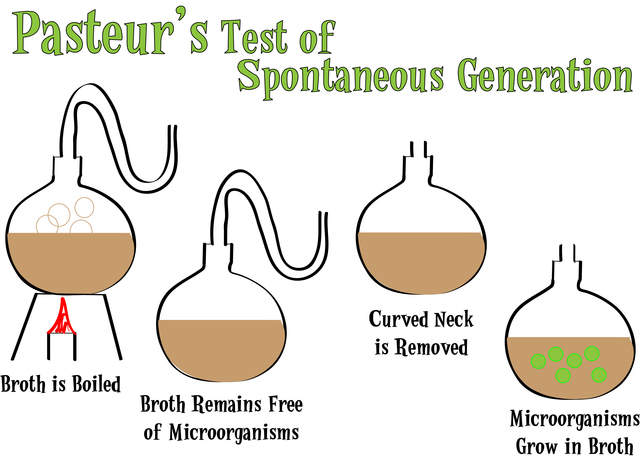 Louis Pasteur refute spontaneous generation