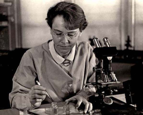 Barbara McClintock describes transposons