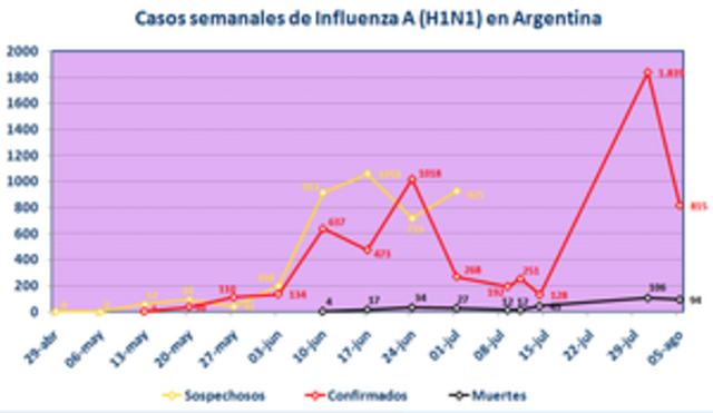 Crisis de Gripe A en Argentina