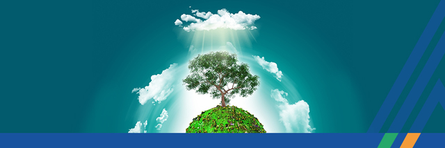 Relación entre luz y temperatura (Imagen de www.solarhouse.mx)