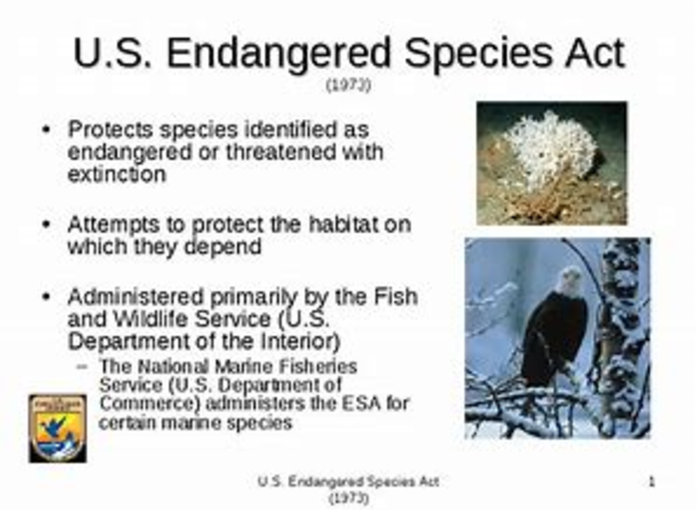 Endangared Species Act
