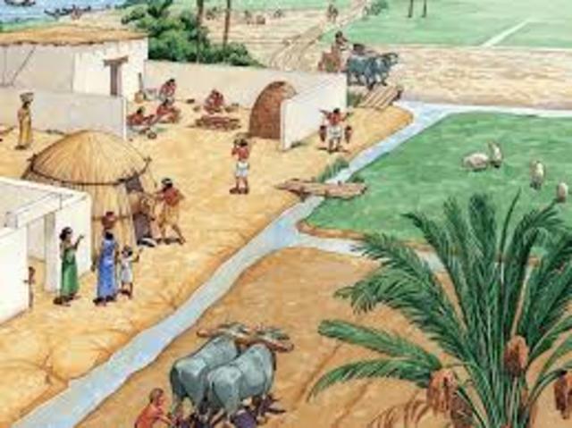 Primeros sistemas de riego