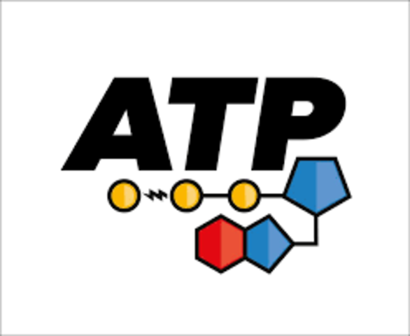 Formación del ATP (Imagen de https://es-la.facebook.com/ATP-Centro-de-Entrenamiento-Funcional-Fitness-811333148978641/)