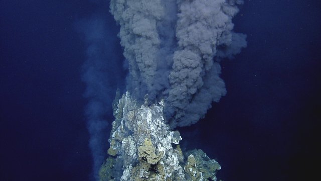 Deep sea hydrothermal vents and associated life around them are discovered
