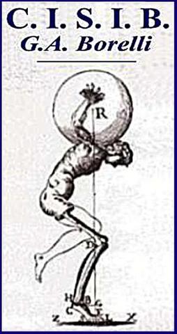 the Motion of Animals