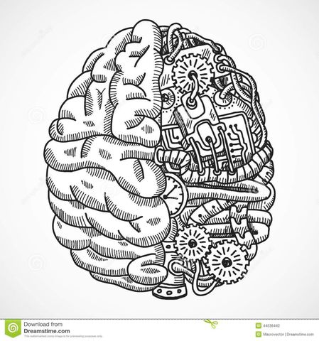 Metáfora Mente-Ordenador (Cognitivismo): Relaciona todas las funciones y métodos del cerebro con los de una computadora para simplificar el estudio de la mente