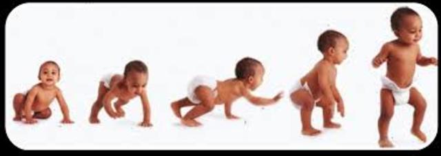 Desarrollo físico en la infancia