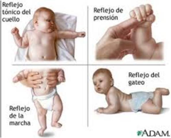 Motricidad Gruesa - Desarrollo Físico