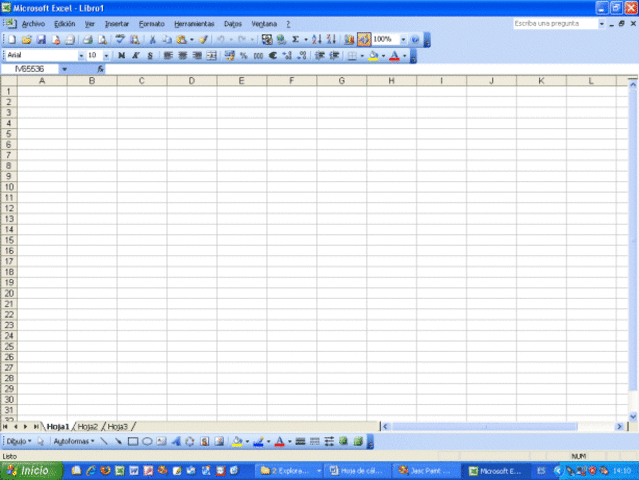 EXCEL 11.0