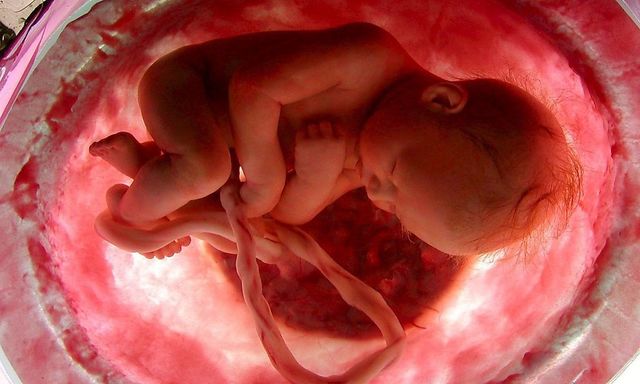 SEXTO MES DE EMBARAZO