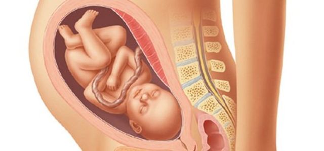 SEPTIMO MES DE EMBARAZO