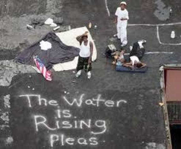 Hurricane Katrina Disaster (con)