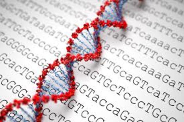 Human genome is fully sequenced
